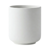 Plants Pots