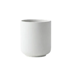 Plants Pots