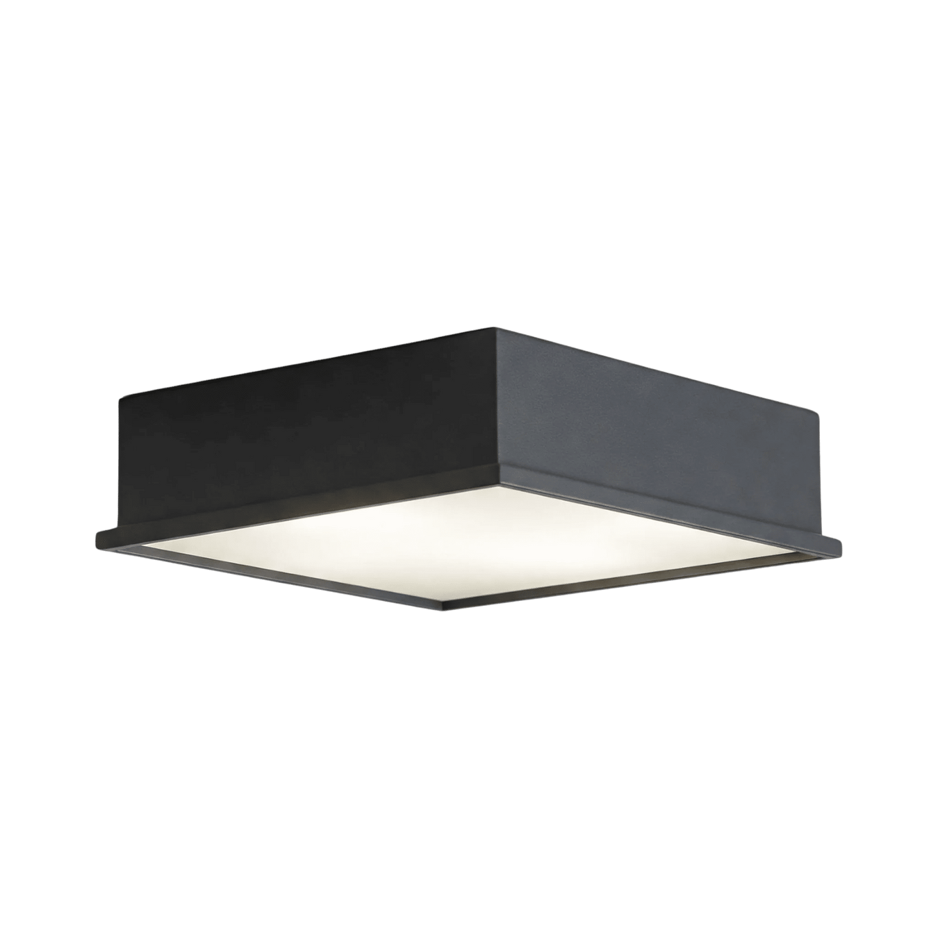 Outdoor Ceiling Lamps