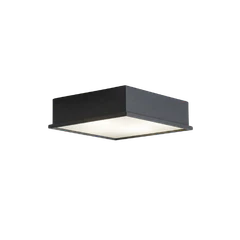 Outdoor Ceiling Lamps