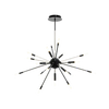 Ceiling Lamps