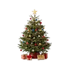 Christmas Trees