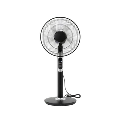 Fans