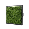 Artificial Fences