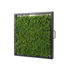 Artificial Fences