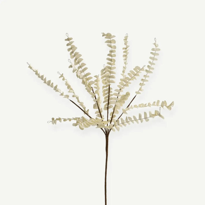 Eucalyptus Leaves - Cream