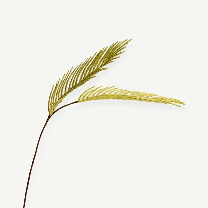 Areca Palm -Yellow
