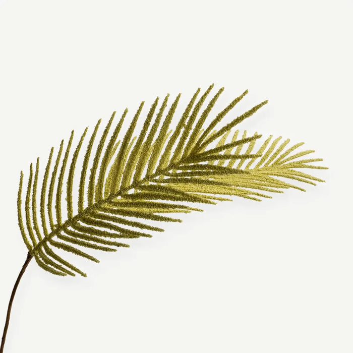Areca Palm -Yellow