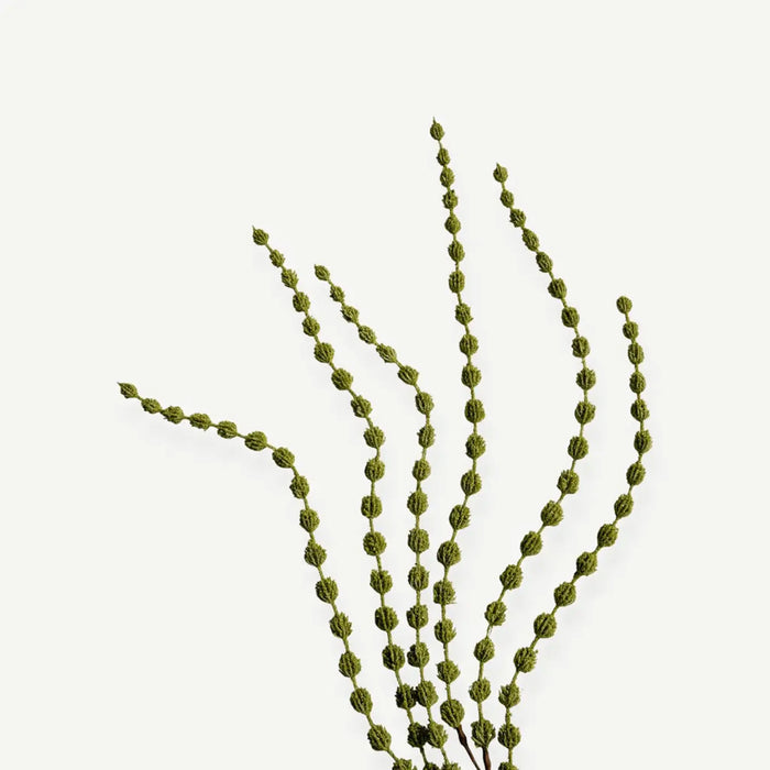 Berries Branch - Green