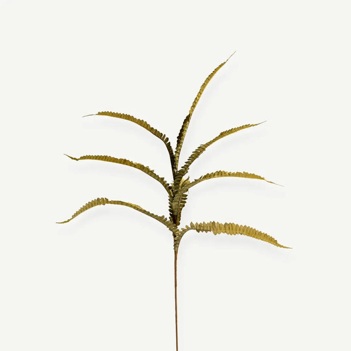 Fern Plant - Green