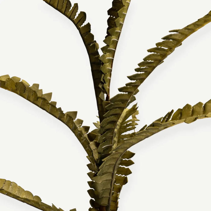 Fern Plant - Green