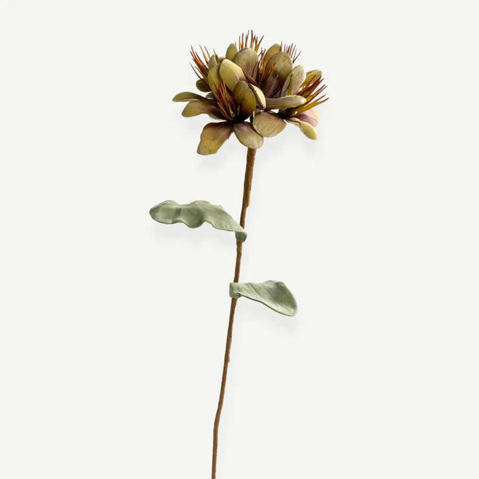 Geranium Flower Stem -Green