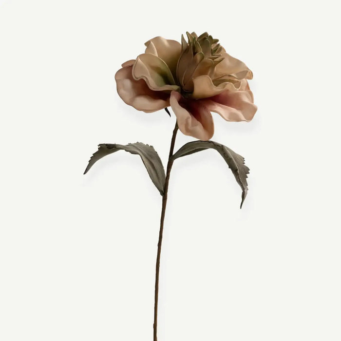 Canna Flower Stem- Beige