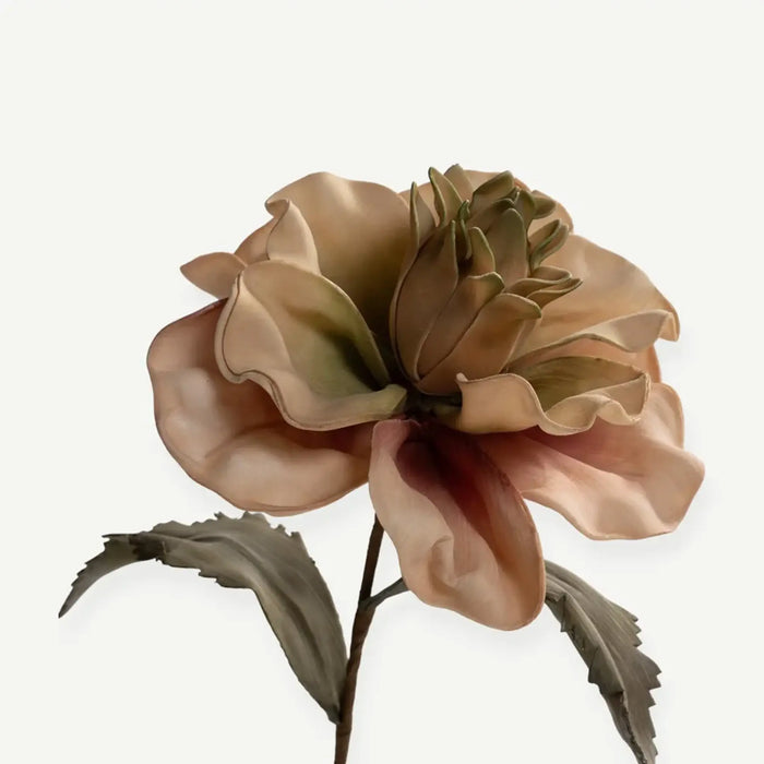 Canna Flower Stem- Beige
