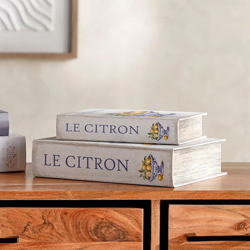 Le Citron 2-Piece Decorative Book Box 30x7x21cm - White Pan Home