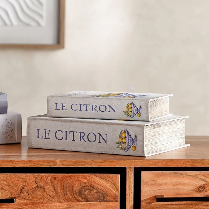 Le Citron 2-Piece Decorative Book Box 30x7x21cm - White Pan Home