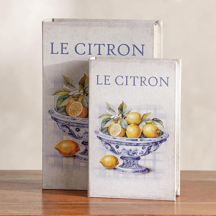 Le Citron 2-Piece Decorative Book Box 30x7x21cm - White Pan Home