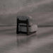 Selden Lounge Chair Conceptual