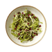 Green salad with pomegranate seeds on a white plate with a brown rim.