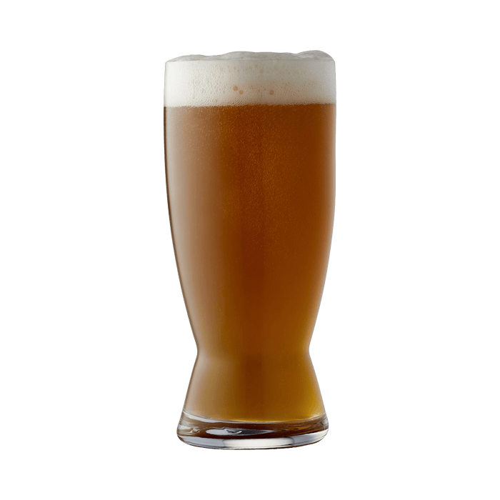 Glass of beer with a white background