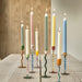 Colorful candles on decorative candlesticks against a neutral background
