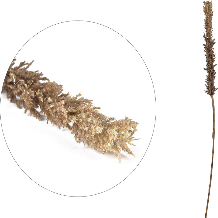 Decor Kvist Grasses Dark Plastic