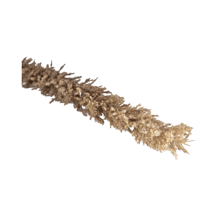 Decor Kvist Grasses Dark Plastic