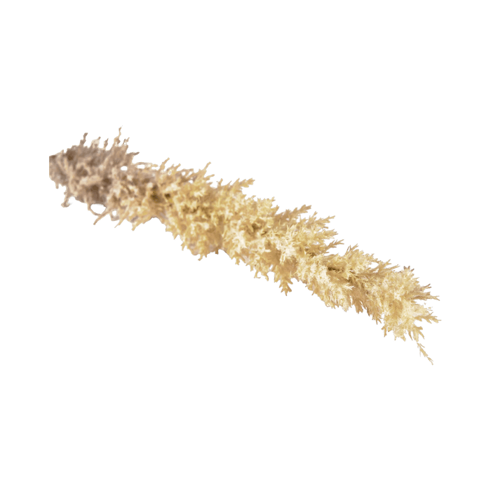 Decor Kvist Grasses Light Plastic