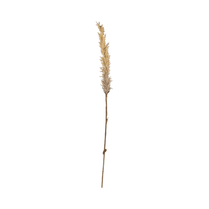 Decor Kvist Grasses Light Plastic