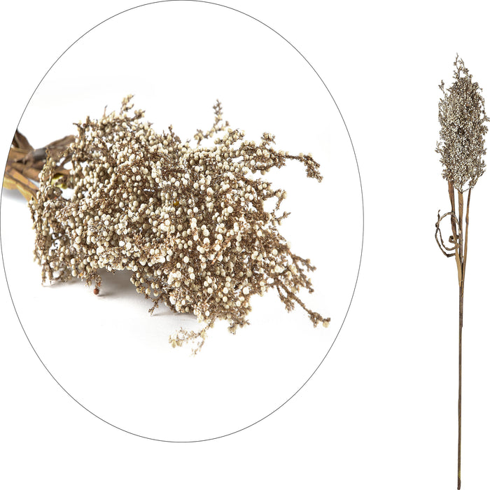 Decor Kvist Pampus Grass Light Plastic Nature