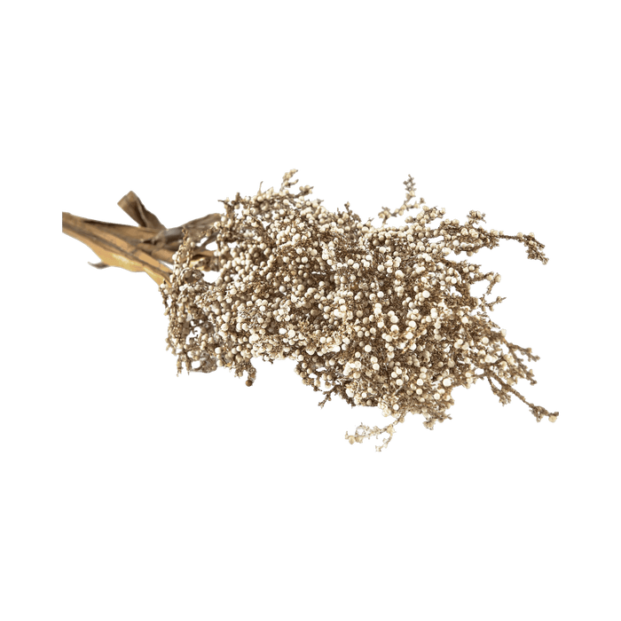 Decor Kvist Pampus Grass Light Plastic Nature
