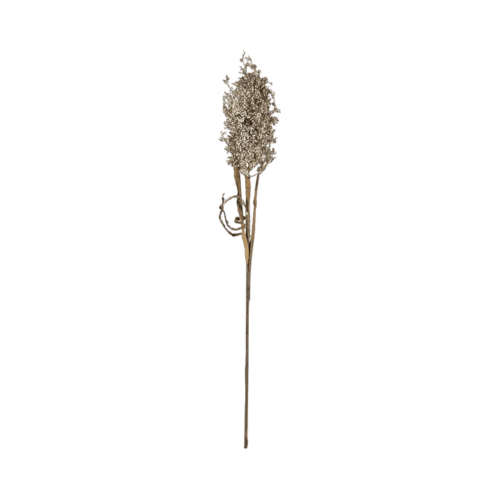 Decor Kvist Pampus Grass Light Plastic Nature