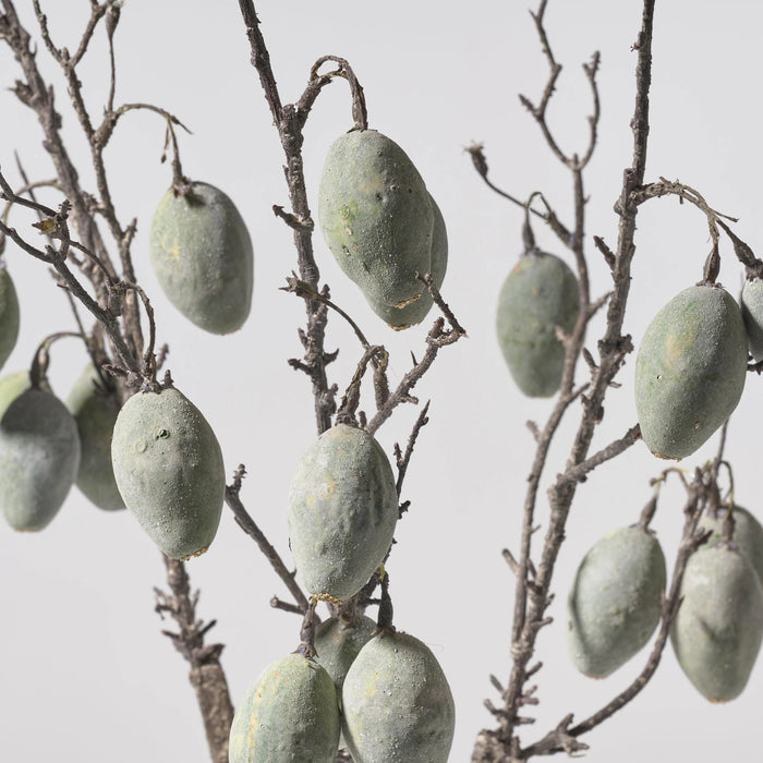Decor Kvist Plum Pp Green