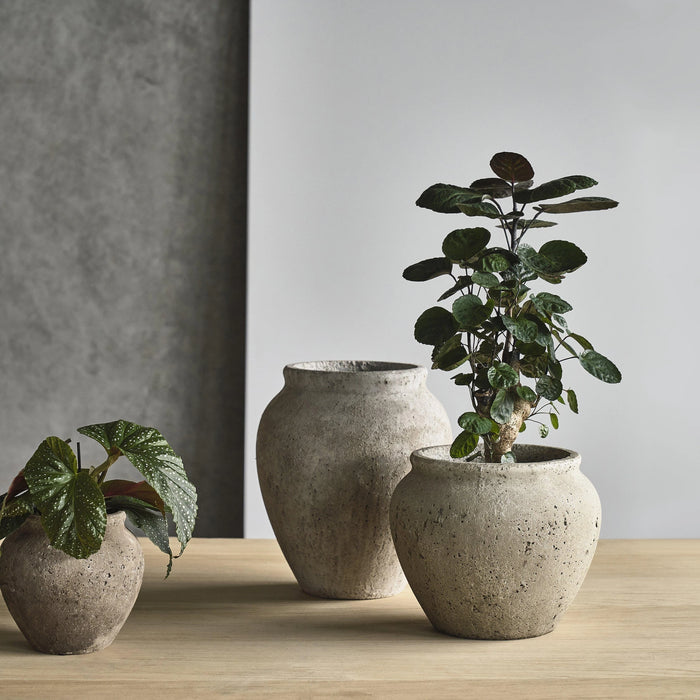Decoration Jar Loev Cement