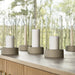 Set of pillar candles in glass holders on a wooden surface with a blurred natural background