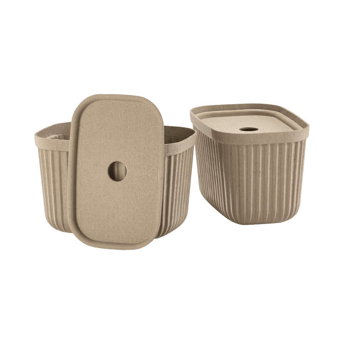 Storage Box Pulp 2 Pcs Natural Brown 15.6x23.2x20.5cm