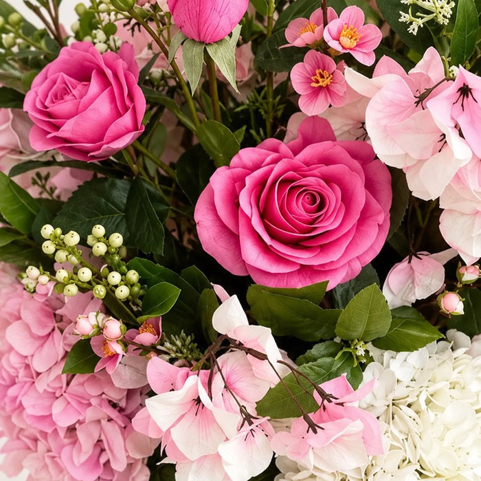 Blushing Pink