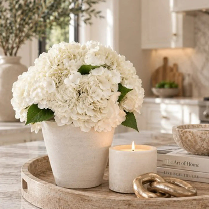 Classical Bloom