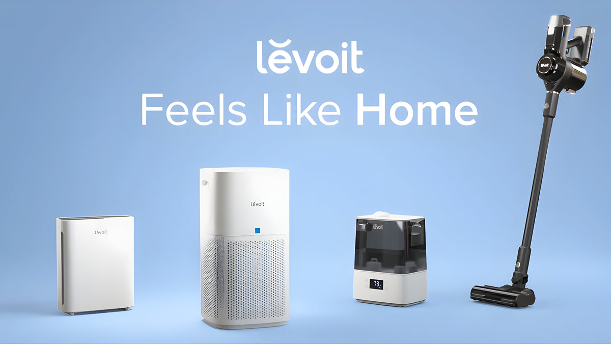 Levoit banner 1
