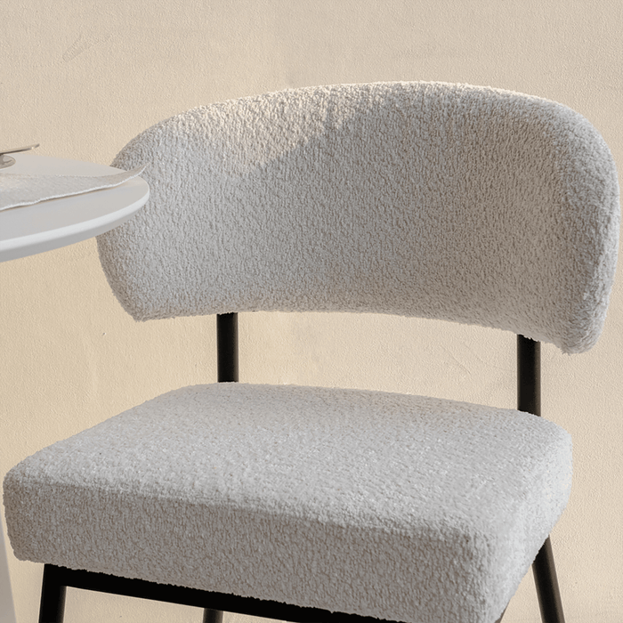 Dinning Chair - 1201