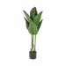 Bird of Paradise Tree With Pot - Setinone.ae