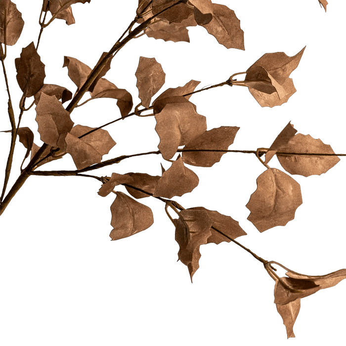 Bluebird Leaf Brown