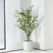 Brenda Cement Planter - Setinone.ae