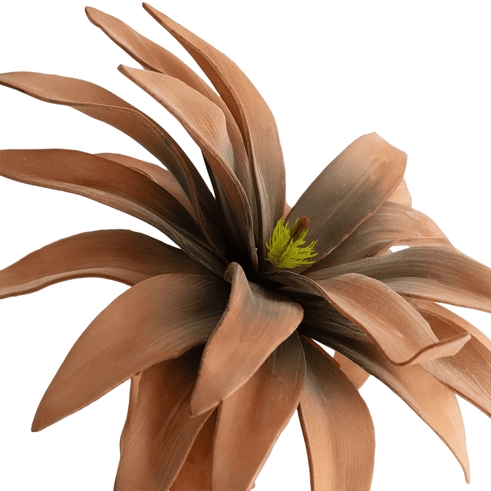 Bromelie Flower Stem Orange - Setinone.ae