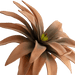 Bromelie Flower Stem Orange - Setinone.ae