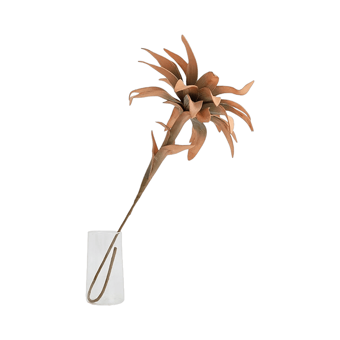 Bromelie Flower Stem Orange - Setinone.ae