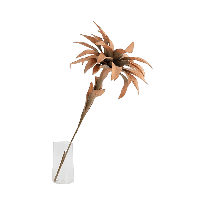 Bromelie Flower Stem Orange - Setinone.ae