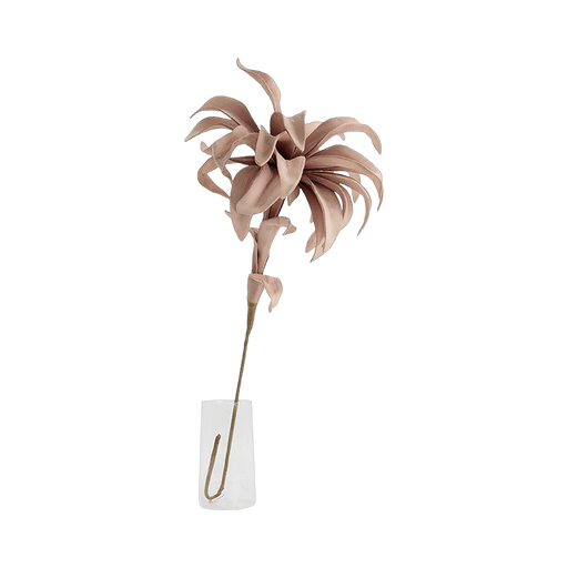 Bromelie Flower Stem Pink - Setinone.ae