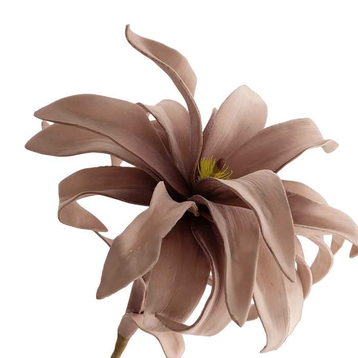 Bromelie Flower Stem Pink - Setinone.ae