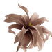 Bromelie Flower Stem Pink - Setinone.ae